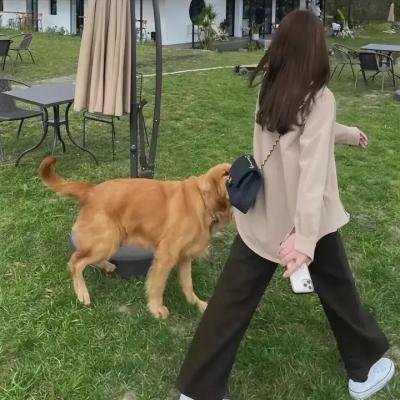 纸梦