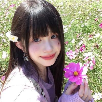 二呆流浪记之完全大人手册